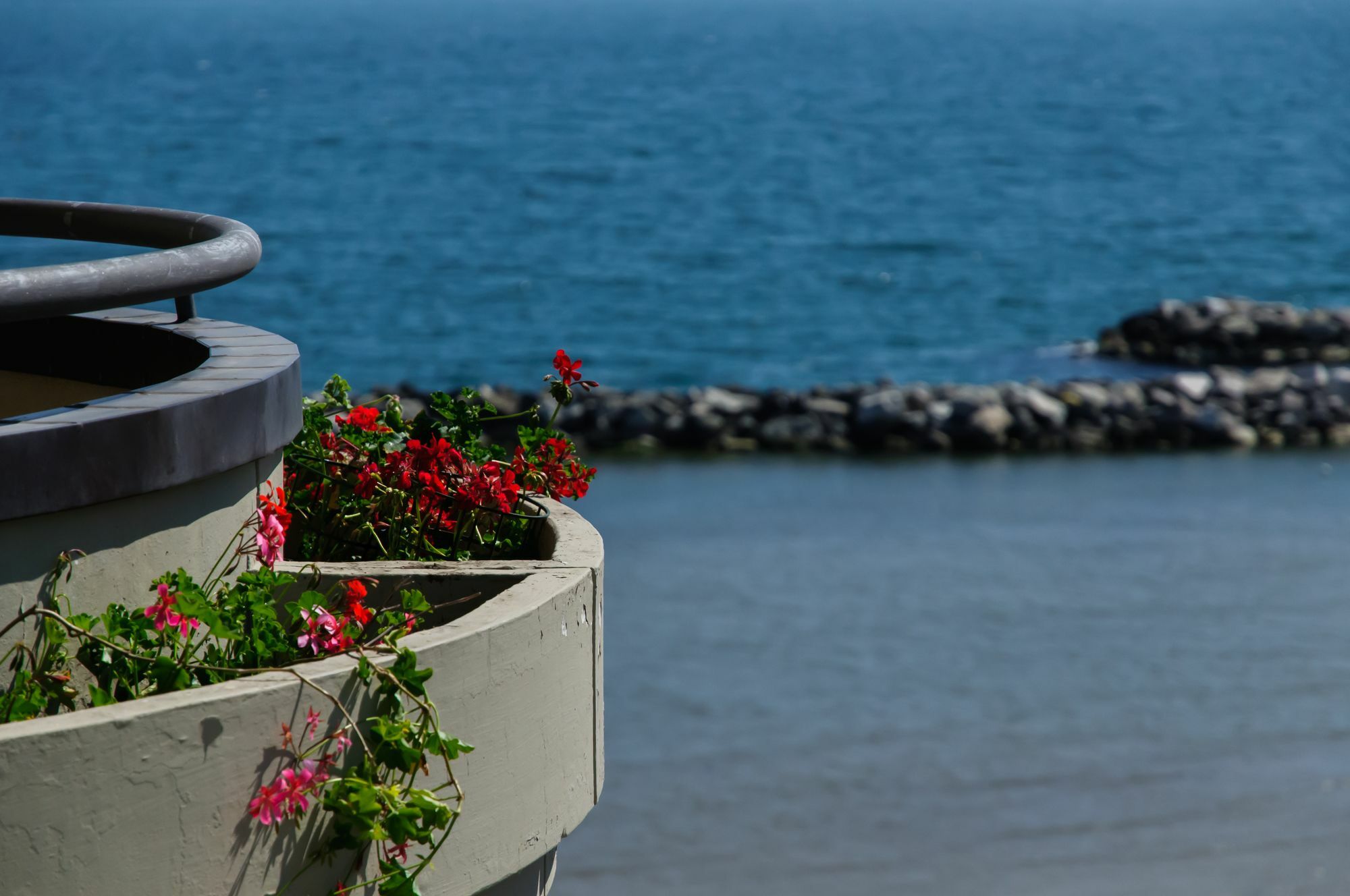 Residence Belvedere Vista - Seafront Rimini Esterno foto